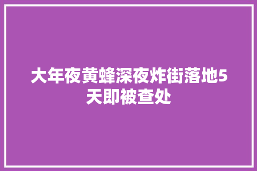 大年夜黄蜂深夜炸街落地5天即被查处
