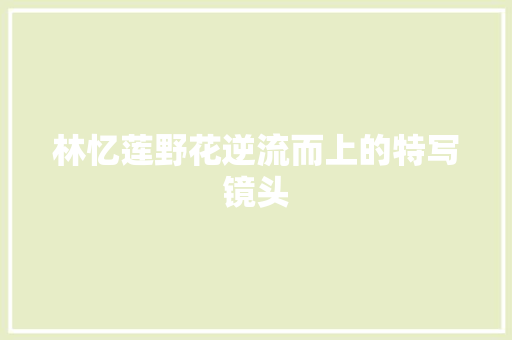 林忆莲野花逆流而上的特写镜头