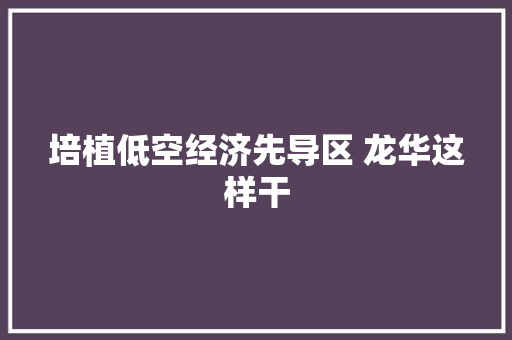 培植低空经济先导区 龙华这样干
