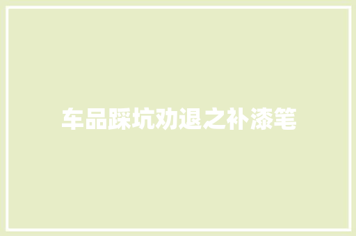 车品踩坑劝退之补漆笔