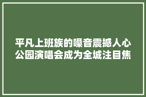 平凡上班族的嗓音震撼人心公园演唱会成为全城注目焦点