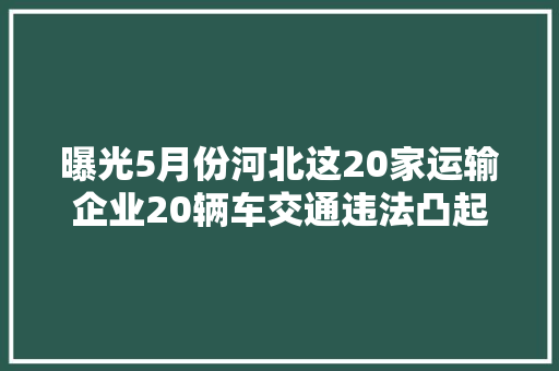 曝光5月份河北这20家运输企业20辆车交通违法凸起