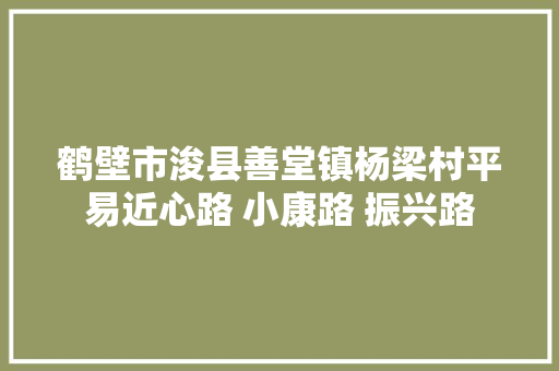 鹤壁市浚县善堂镇杨梁村平易近心路 小康路 振兴路