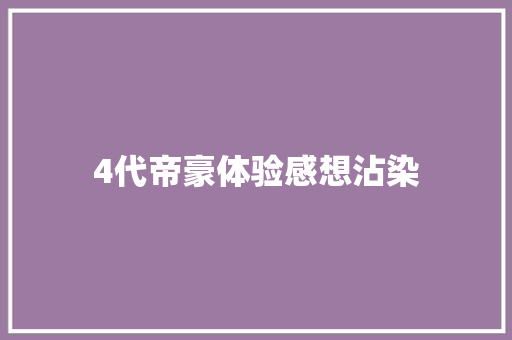 4代帝豪体验感想沾染