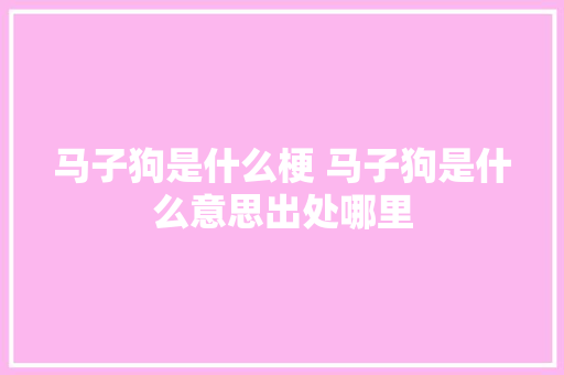 马子狗是什么梗 马子狗是什么意思出处哪里