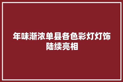 年味渐浓单县各色彩灯灯饰陆续亮相