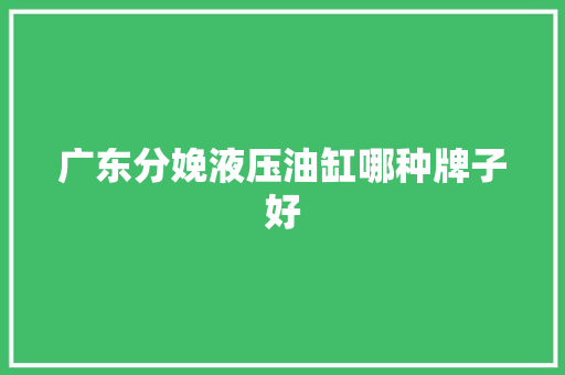 广东分娩液压油缸哪种牌子好