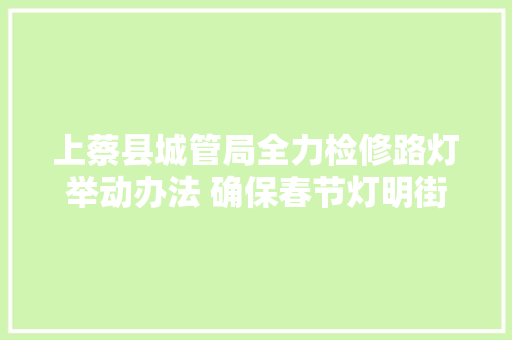 上蔡县城管局全力检修路灯举动办法 确保春节灯明街亮/朱茂松赵四