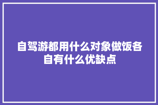 自驾游都用什么对象做饭各自有什么优缺点