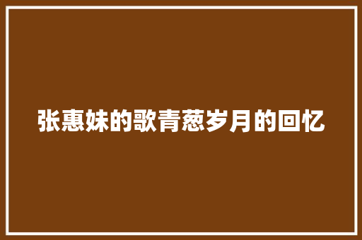 张惠妹的歌青葱岁月的回忆