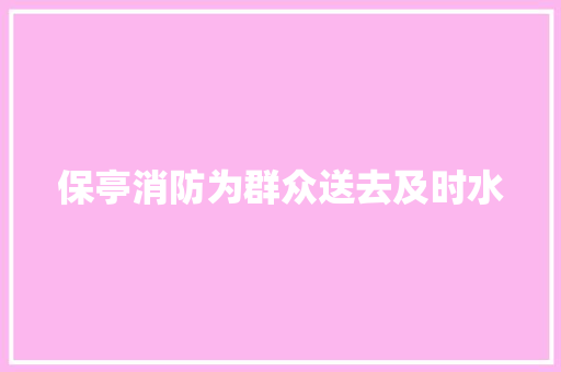 保亭消防为群众送去及时水