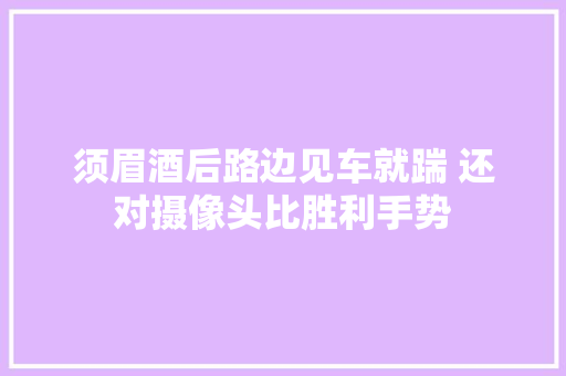 须眉酒后路边见车就踹 还对摄像头比胜利手势
