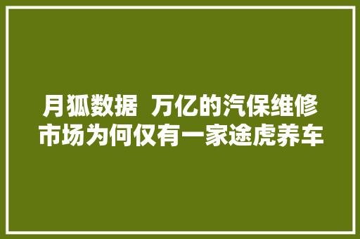 月狐数据  万亿的汽保维修市场为何仅有一家途虎养车