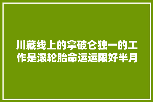 川藏线上的拿破仑独一的工作是滚轮胎命运运限好半月挣一百万