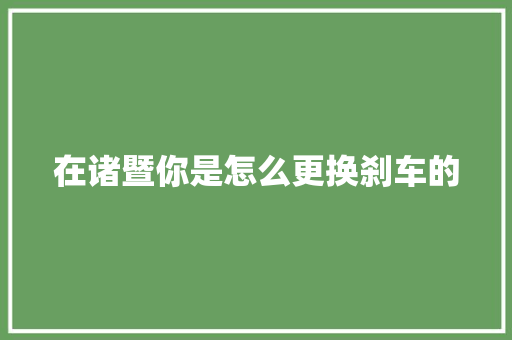 在诸暨你是怎么更换刹车的
