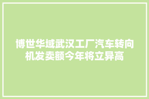 博世华域武汉工厂汽车转向机发卖额今年将立异高