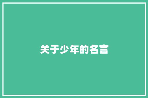 关于少年的名言