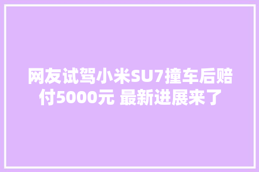 网友试驾小米SU7撞车后赔付5000元 最新进展来了