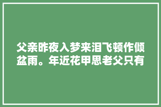父亲昨夜入梦来泪飞顿作倾盆雨。年近花甲思老父只有天上见