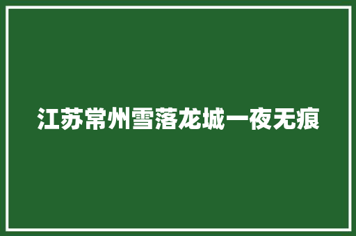 江苏常州雪落龙城一夜无痕