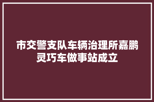 市交警支队车辆治理所嘉鹏灵巧车做事站成立