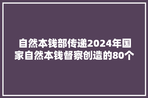 自然本钱部传递2024年国家自然本钱督察创造的80个违法违规重大年夜范例问题