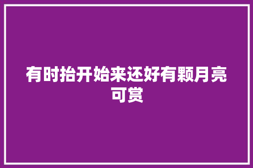 有时抬开始来还好有颗月亮可赏