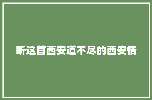 听这首西安道不尽的西安情 休闲娱乐