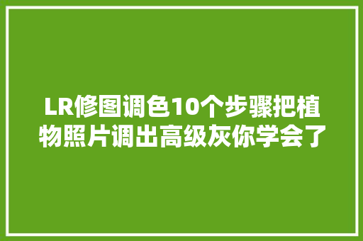 LR修图调色10个步骤把植物照片调出高级灰你学会了吗
