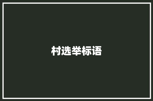 村选举标语