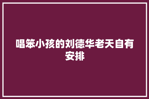 唱笨小孩的刘德华老天自有安排