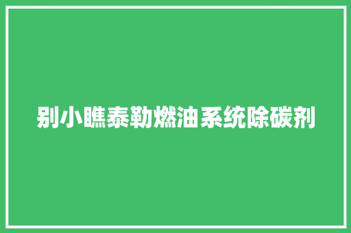 别小瞧泰勒燃油系统除碳剂