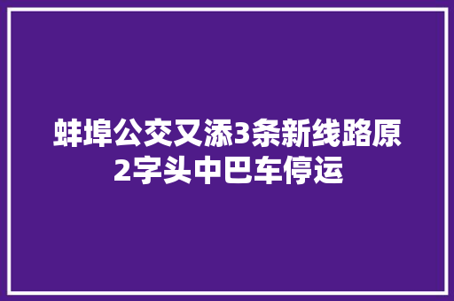 蚌埠公交又添3条新线路原2字头中巴车停运