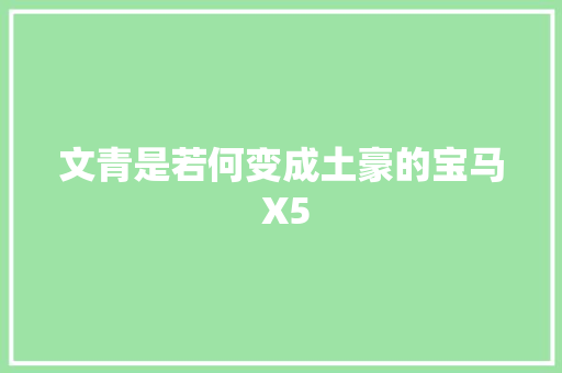 文青是若何变成土豪的宝马 X5