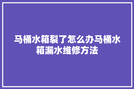 马桶水箱裂了怎么办马桶水箱漏水维修方法 汽车知识