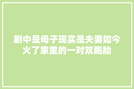 剧中是母子现实是夫妻如今火了家里的一对双胞胎
