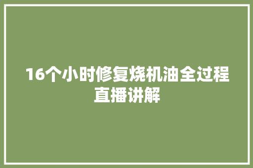 16个小时修复烧机油全过程直播讲解