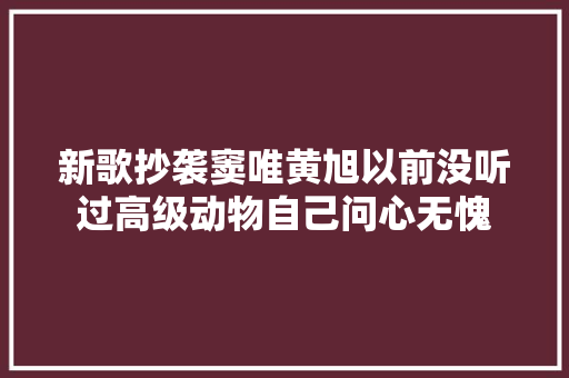新歌抄袭窦唯黄旭以前没听过高级动物自己问心无愧