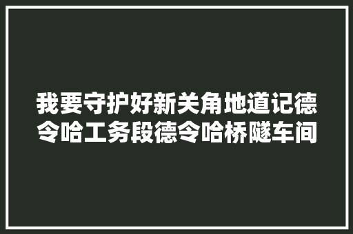 我要守护好新关角地道记德令哈工务段德令哈桥隧车间天棚桥隧养修工区班长陈云弟