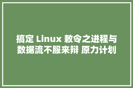 搞定 Linux 敕令之进程与数据流不服来辩 原力计划