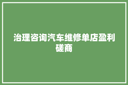 治理咨询汽车维修单店盈利磋商