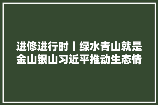 进修进行时丨绿水青山就是金山银山习近平推动生态情形保护的故事