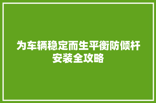 为车辆稳定而生平衡防倾杆安装全攻略