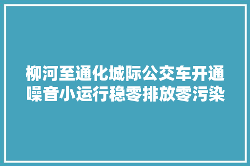 柳河至通化城际公交车开通噪音小运行稳零排放零污染的新能源纯电动车上线