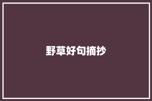野草好句摘抄