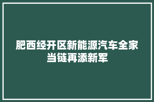 肥西经开区新能源汽车全家当链再添新军