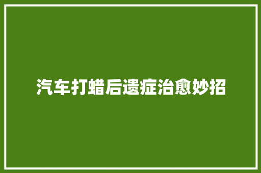 汽车打蜡后遗症治愈妙招