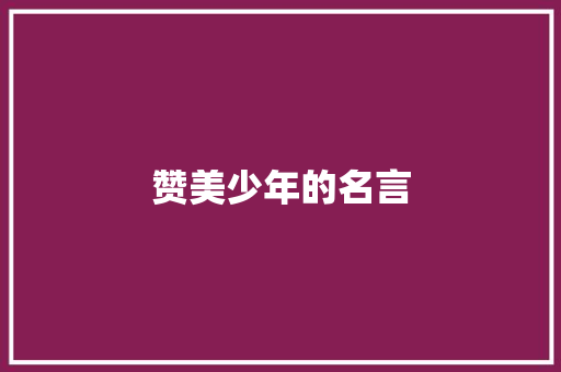 赞美少年的名言