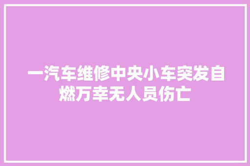 一汽车维修中央小车突发自燃万幸无人员伤亡