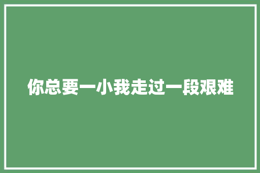 你总要一小我走过一段艰难
